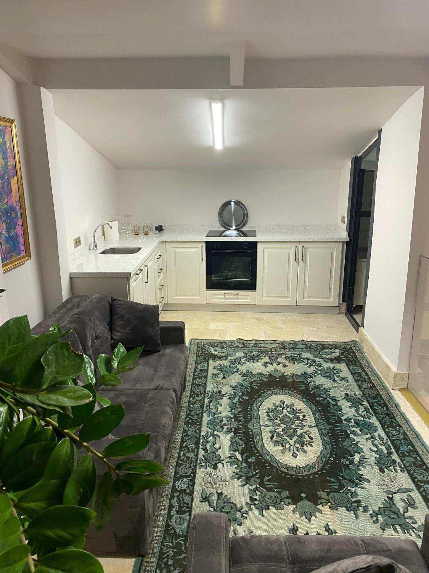 Ab Residences- Private Villa Independent Κωνσταντινούπολη Εξωτερικό φωτογραφία